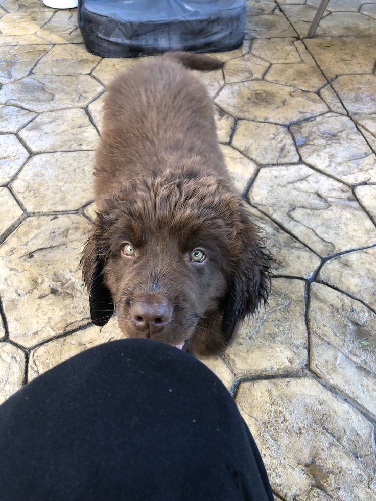 That face melts me 🥰🥹