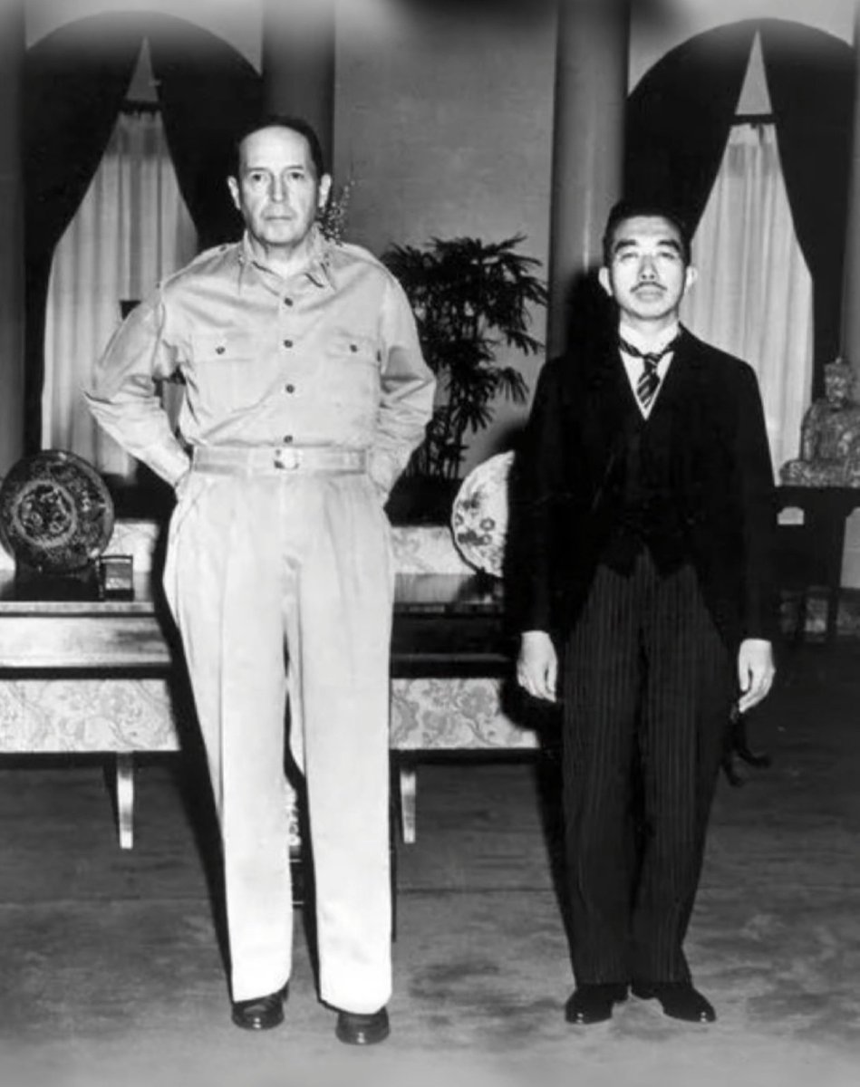 杨凡🇨🇳 tweet media