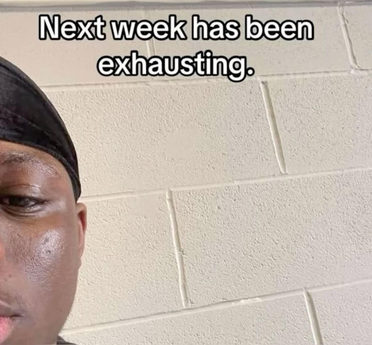 wildtiktokss's tweet image. 