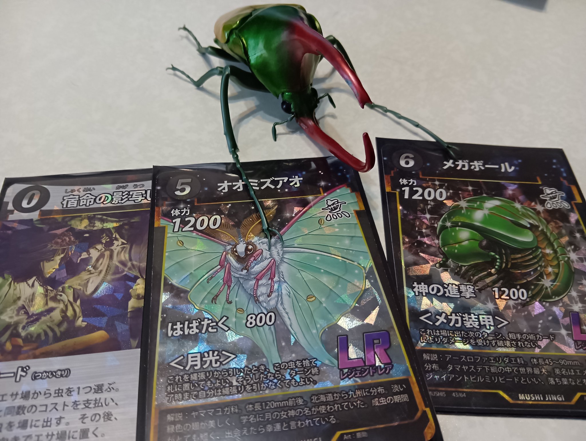 てぃらてぃ～ on X: 