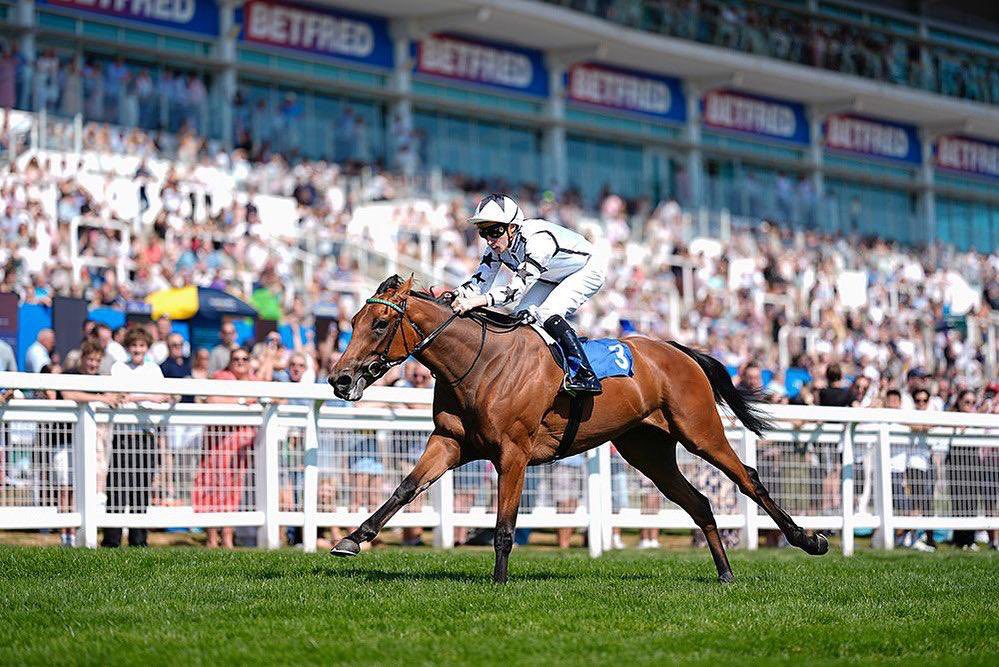 Year after year, our 2yo fillies overachieve based on their purchase prices! 95% are band C or D animals costing less than £40,000!

We’ve already won 16 races with them this year including the Listed Champion Trophy at <a href="/RiponRaces/">Ripon Races</a> 

Three €50,000 Goffs bonuses have been won as