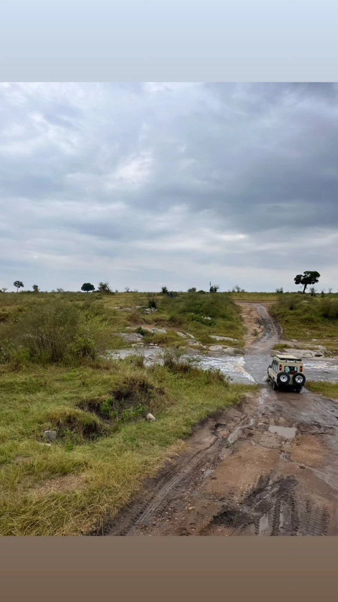 Primaland Safaris Tanzania Lmt (@primaland_) on Twitter photo 