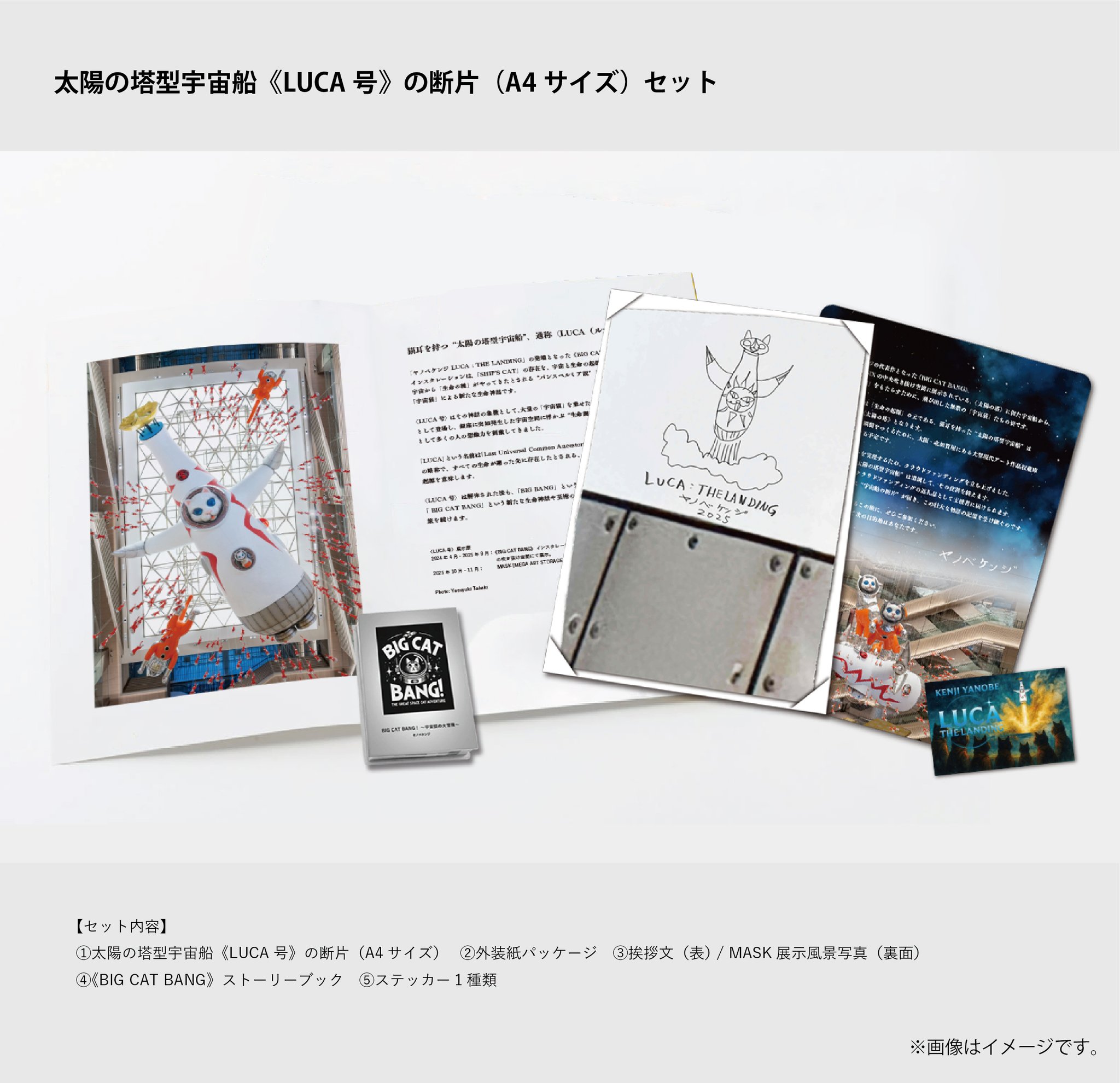 バルトーク大全集 完品未開封キャビネット付き バルトーク大全集（29CD＋1CD） : バルトーク (1881-1945