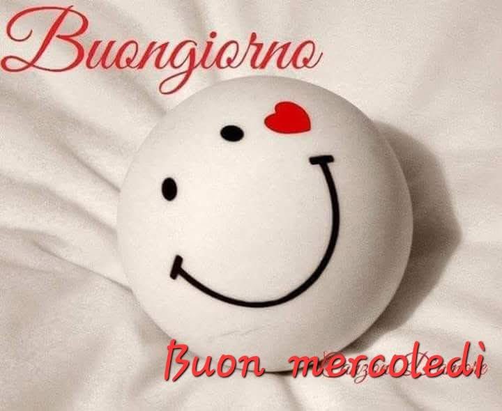 RITABIANCHi56 tweet media