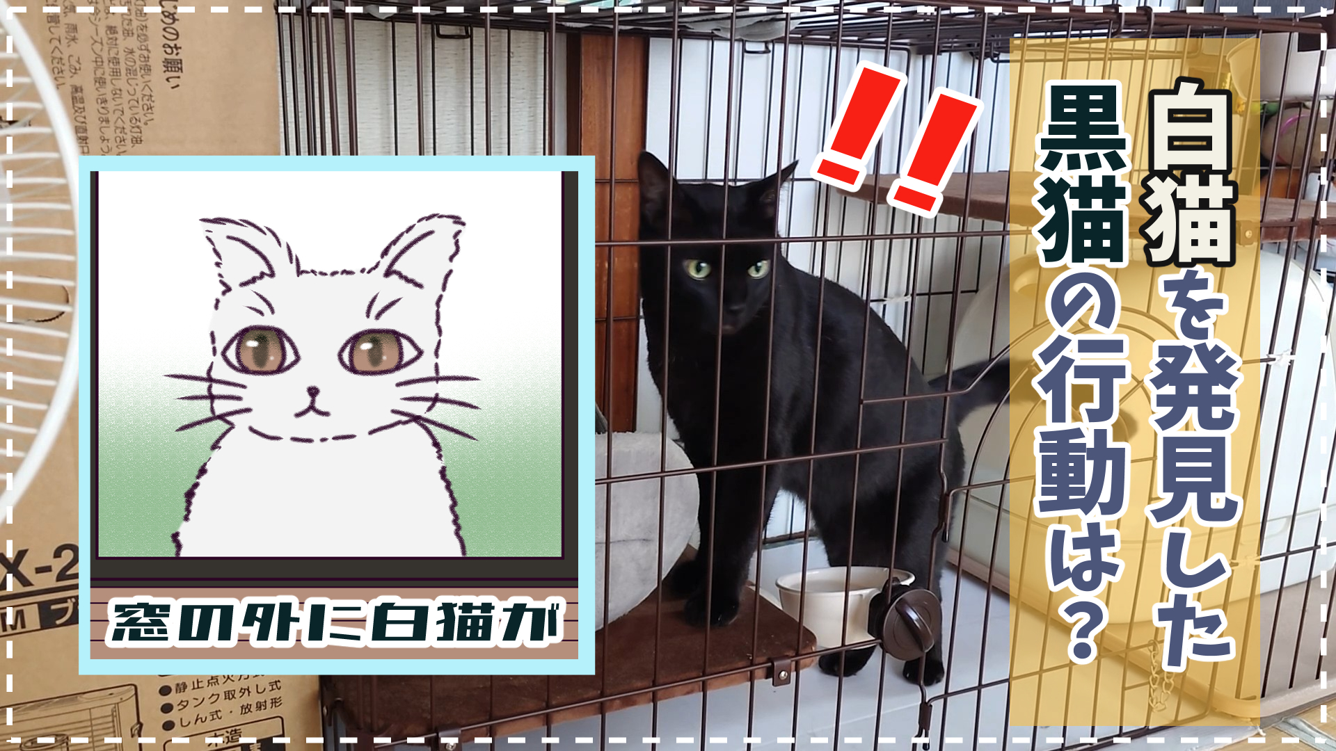 ☆欲張り工房様☆専用！！キジトラ猫ちゃんと黒猫ちゃん キジトラかもしれない＋黒猫（略してキジ黒） (@kijikurokamo) / X