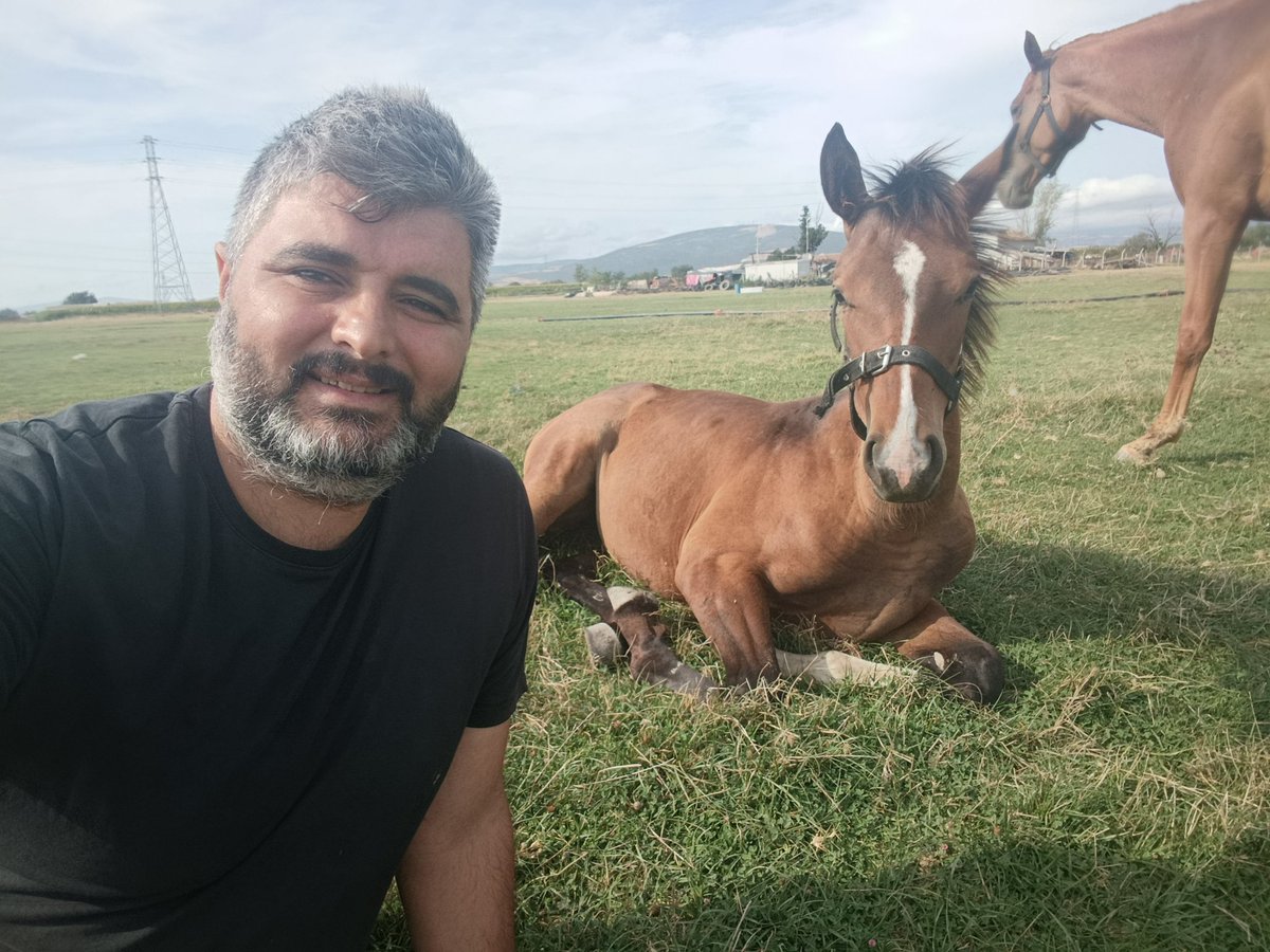 Hayatta çok az şey beni bundan daha fazla mutlu edebilir. Hümasel