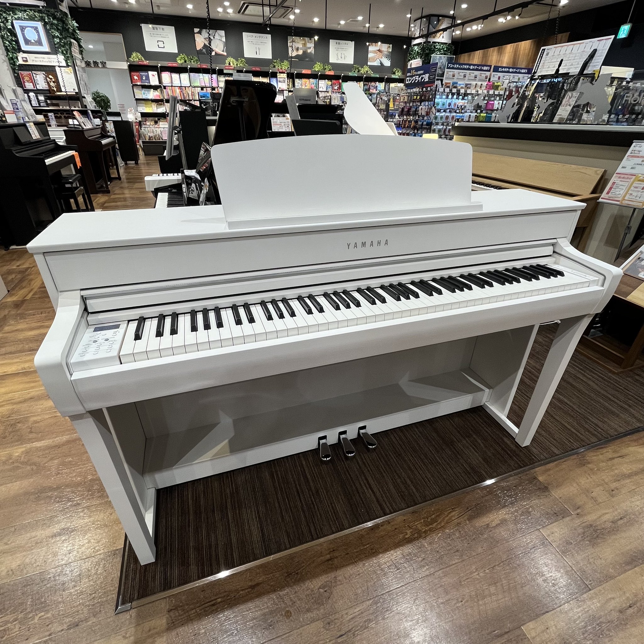 鍵盤楽器 toranpus 木製鍵盤ハーモニカ（木製ケンハモ）W-37 | 鈴木楽器製作所