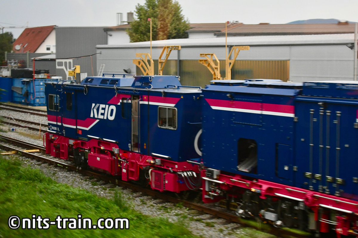 ronron様 ステッカー club GTroman 「プランシング・ドンキー」伊