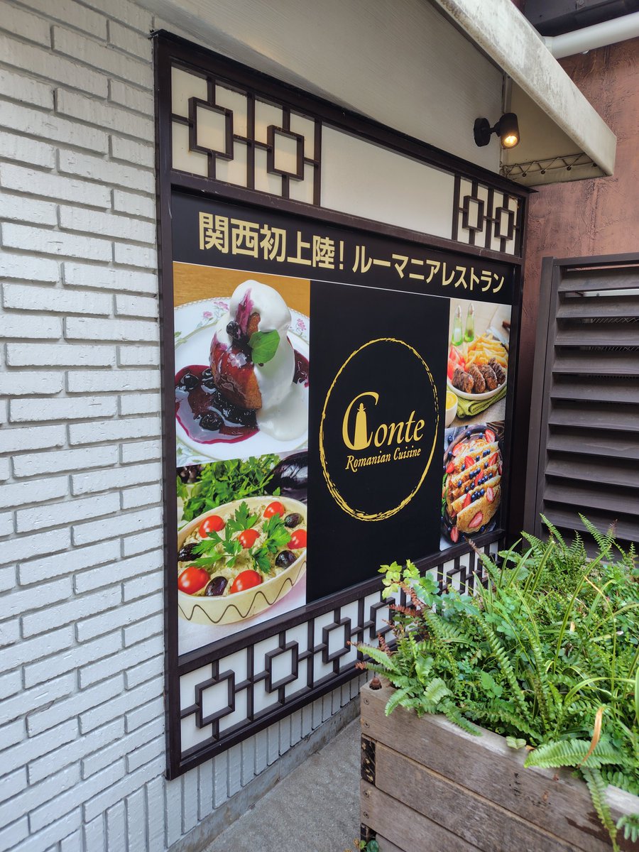 鍋島 - ♦茶丸枠になります。他の方は購入しないでください。 鍋島（ブラウン/茶色系）のフリマアイテム一覧