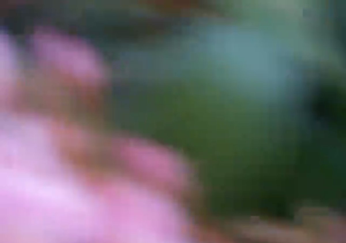 andrewgebhardt_'s tweet photo. Movie 289, 'the 4 days we spent together'. Filmed in a park somewhere in Salt Lake City.  This film is a companion to my 2nd feature 'Kismet' (dm if you'd like to see it, no bites on the festival circuit so it's fine to share around). https://t.co/gvIAeQrWv8 https://t.co/MkTgRK94Tx