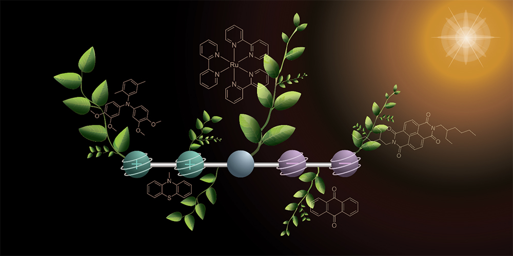 Oliver Wenger (@wengeroliver) on Twitter photo New molecular design absorbs 2 photons to store 2 positive and 2 negative charges
100 ns lifetime, 3 eV energy storage, and 37% quantum yield
A step toward multi-electron photochemistry
Mathis Brändlin and <a href="/BjornPfund/">Björn Pfund</a> in <a href="/NatureChemistry/">Nature Chemistry</a>
nature.com/articles/s4155… New molecular design absorbs 2 photons to store 2 positive and 2 negative charges
100 ns lifetime, 3 eV energy storage, and 37% quantum yield
A step toward multi-electron photochemistry
Mathis Brändlin and <a href="/BjornPfund/">Björn Pfund</a> in <a href="/NatureChemistry/">Nature Chemistry</a>
nature.com/articles/s4155…