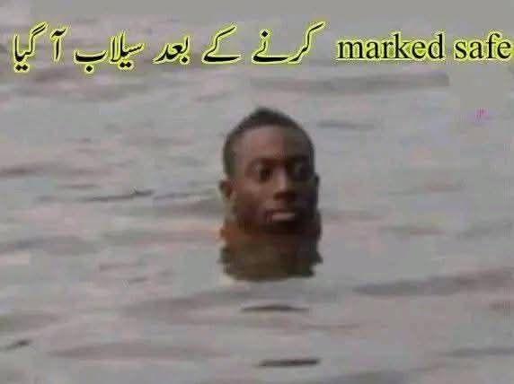 Sadia Zafar 🦋 (@sadiavoice) on Twitter photo 