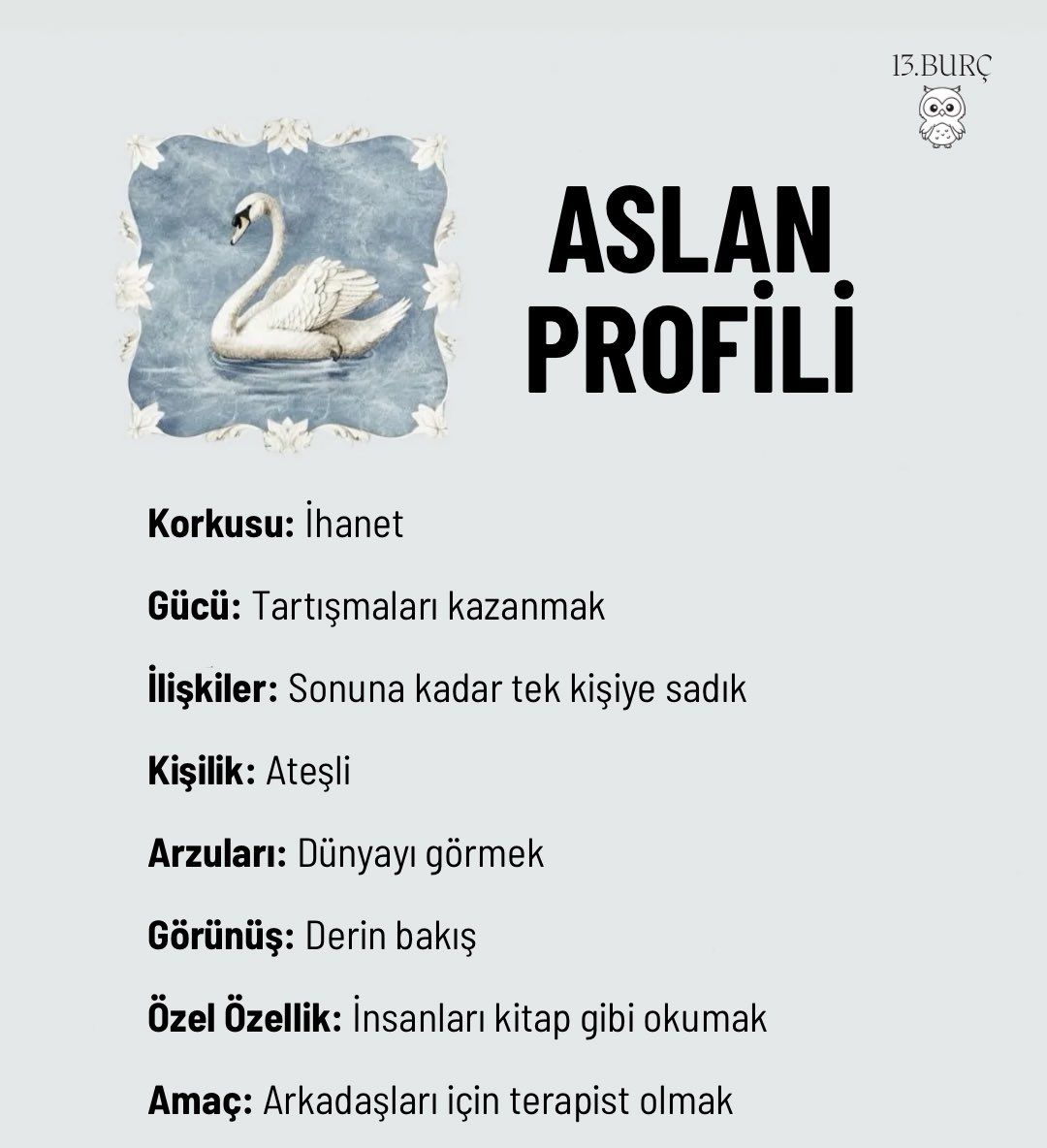 ASLAN PROFİLİ