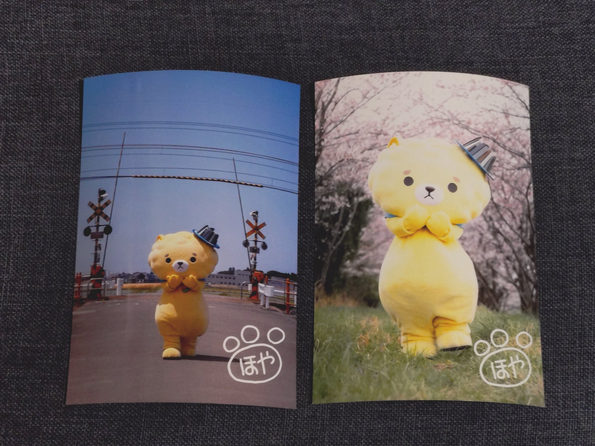 イコモチ ウェブポン サイン入りブロマイド 2種 作品TOP ｜限定グッズのカプセルプライズ ウェブポン