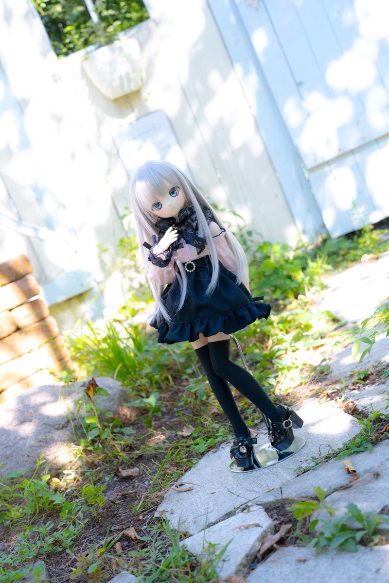 (*ˊ˘ˋ*)♪