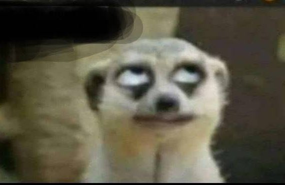 😂😂 fibroids  watching us 🤭