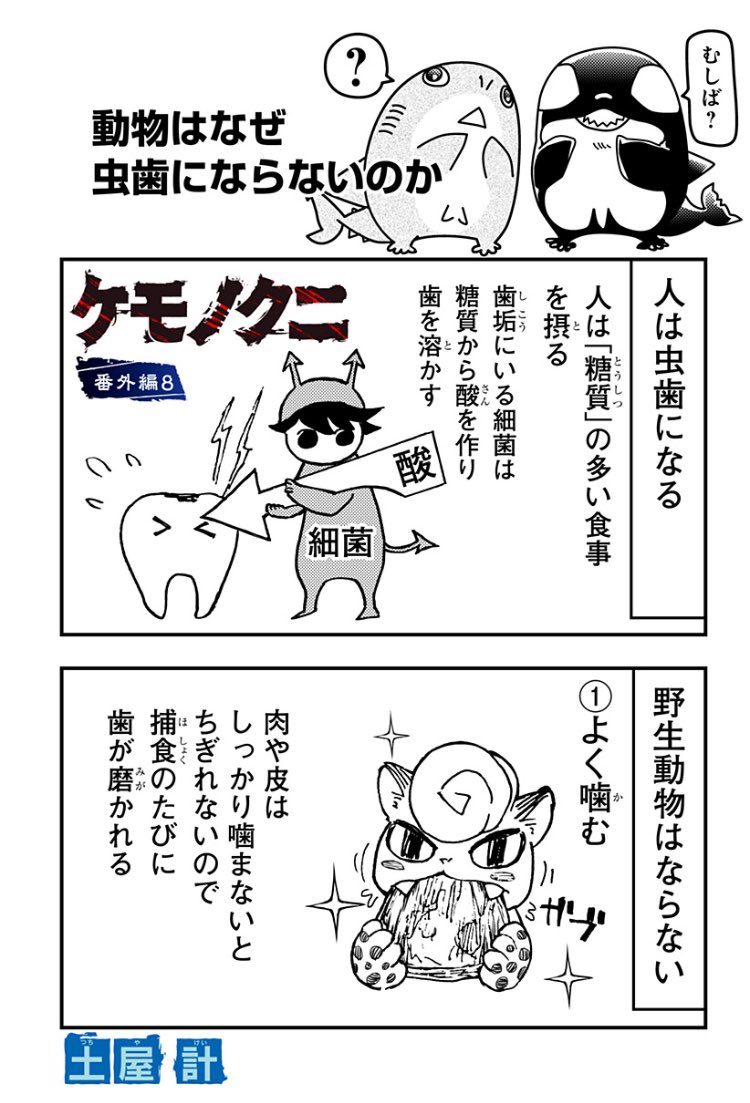 動物は虫歯にならないのか!?

読んで応援してくれると嬉しいです✨✨
#ケモノクニ 
#漫画が読めるハッシュタグ
続きは無料⬇️
https://t.co/JVjoqf51Et 