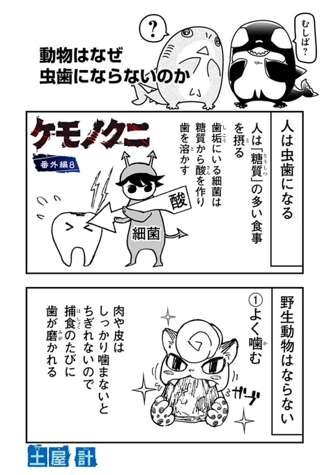 動物は虫歯にならないのか!?

読んで応援してくれると嬉しいです✨✨
#ケモノクニ 
#漫画が読めるハッシュタグ
続きは無料⬇️
https://t.co/JVjoqf51Et 