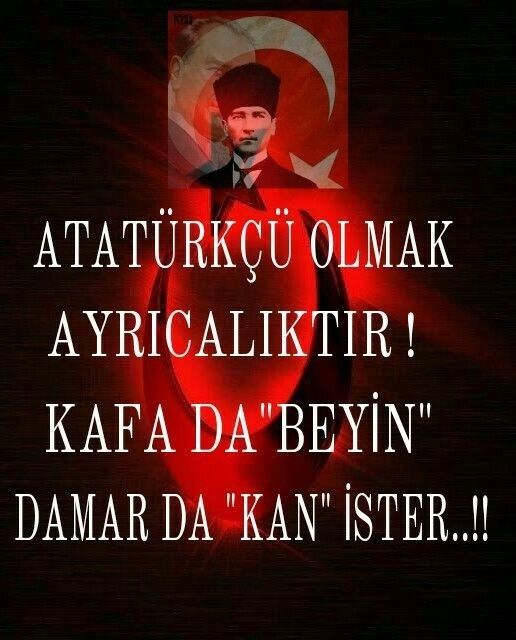 Bulcahan (@bulcahanturk) on Twitter photo 