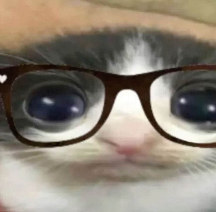 erm actchually 🤓☝🏻