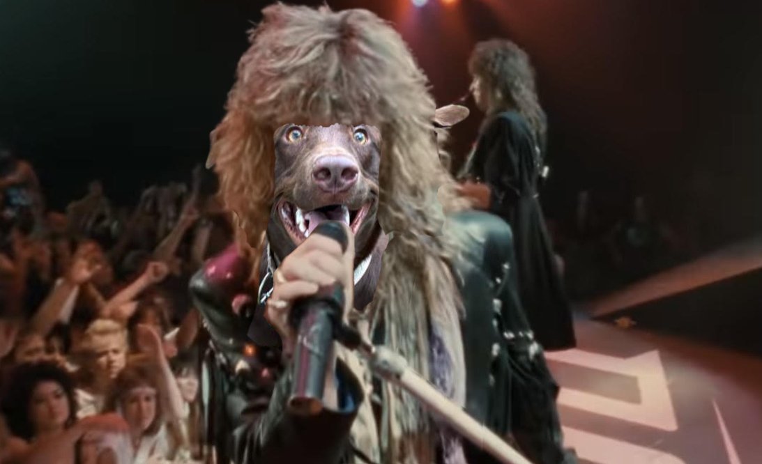 🎸 Whoa, we’re halfway there!
The 2026 RAL Calendar Contest is heating up.

🎤 $1 = 1 vote
📸 Top 12 = photoshoot + a month
🌟 $250 = photo on an open date
🔥 #1 = cover star

The spotlight’s still up for grabs.
🔗 f.mtr.cool/pcrkolzpiw