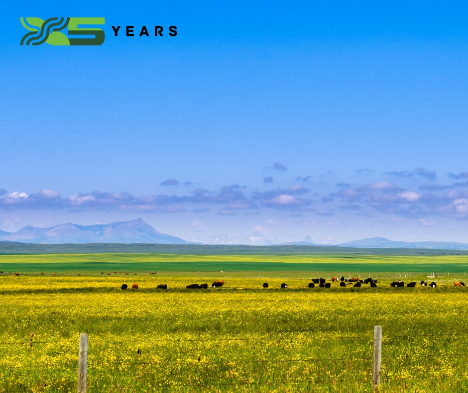 RDARAlberta's tweet image. What’s the ROI on ag research?
With RDAR: Every $1 invested brings back 3x the value.
That means:
- Better tools for producers
- Real dollars to farms and ranches
- Faster innovation from lab to land
Research that delivers.
#AgResearch #RDARImpact #ROI #FarmersFirst