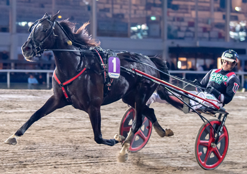HalmstadTravet tweet media