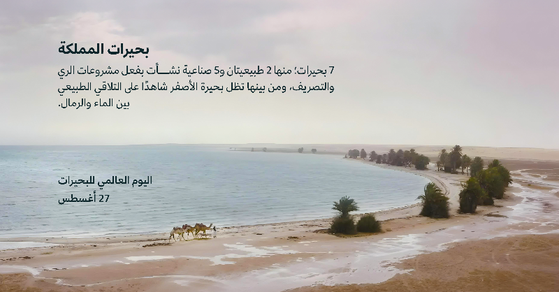 CGCSaudi's tweet photo. في اليوم العالمي للبحيرات؛ تذكرنا بحيرة الأصفر أن الجمال الطبيعي موئل الكائنات وموطنها، ورمز للتوازن البيئي. https://t.co/f4W2N7jzGd