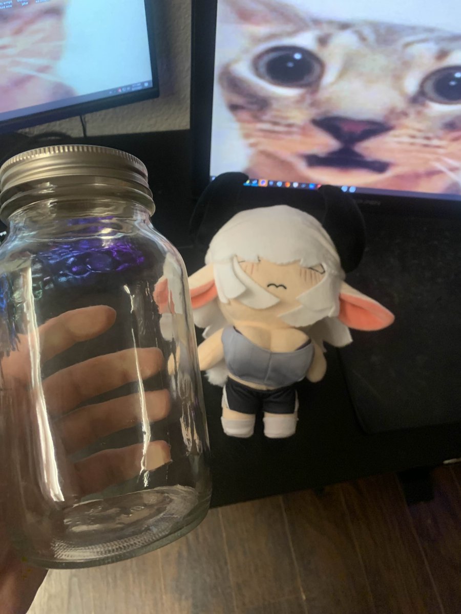 save her from the jar fate... BUY A PLUSHIE (LINK BELOW)