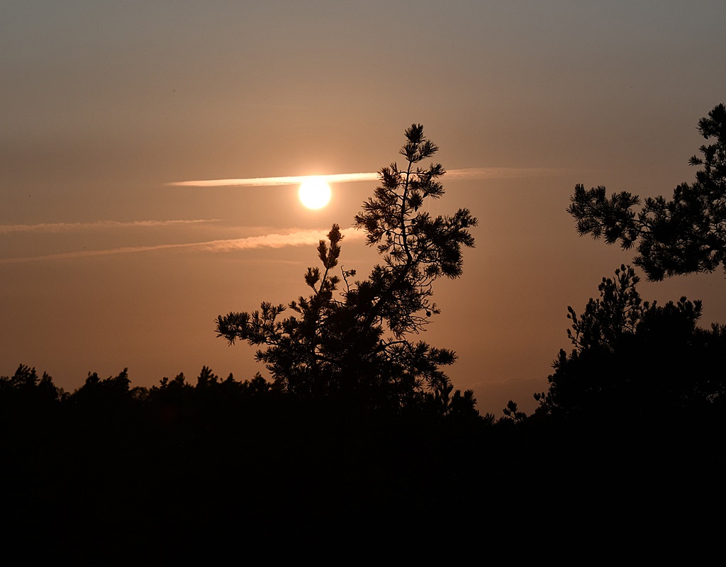 Augusti månad snart slut. Här ett fint ögonblick med en augustimåne från förra året.