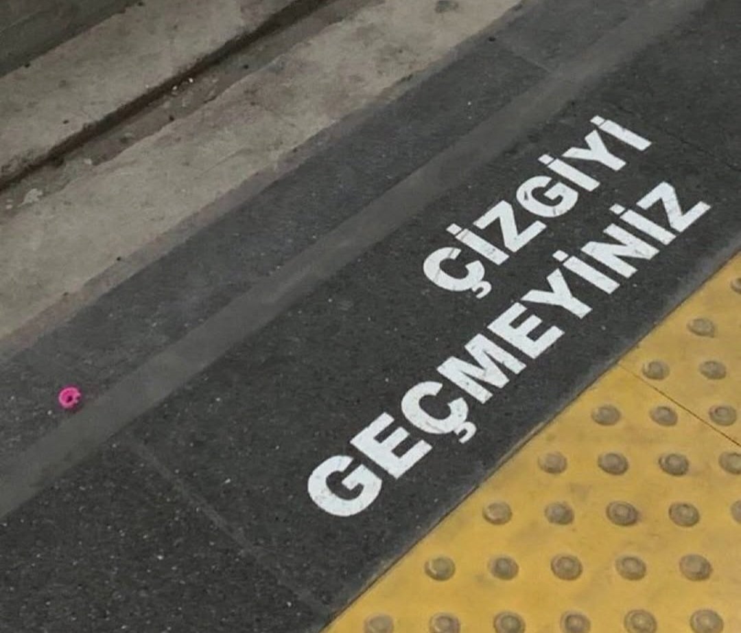 Çok ince bir metafor, hayatımızda karşılaştığımız sığırlara anlatamıyoruz bunu.