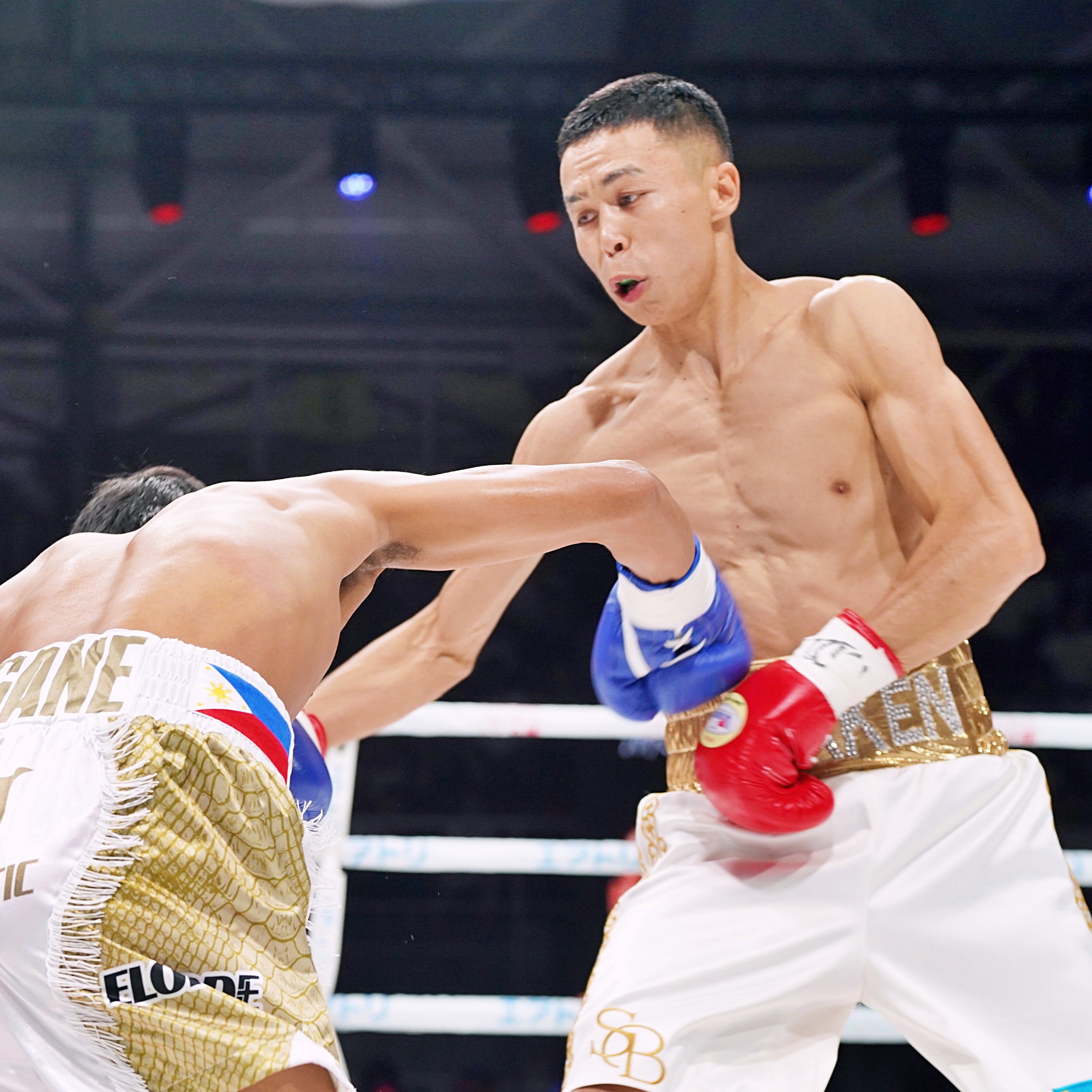 その他 poyo 3150×LUSHBOMU 公式 (@3150Fight) / X