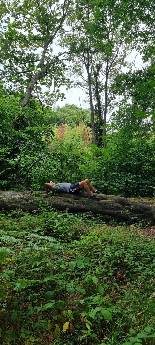 Vitalstatistix1's tweet image. &quot;I went to the woods because I wished to live deliberately, to front only the essential facts of life, and see if I could not learn what it had to teach, and not, when I came to die, discover that I had not lived.&quot;
Henry David Thoreau