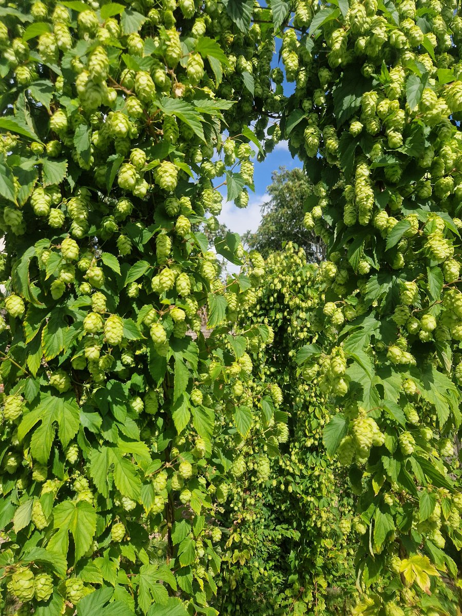 DealHopFarm tweet media