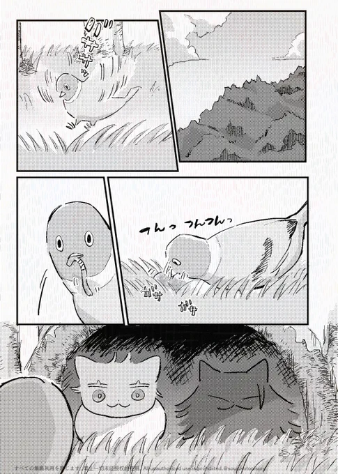 猫五夏137 138 