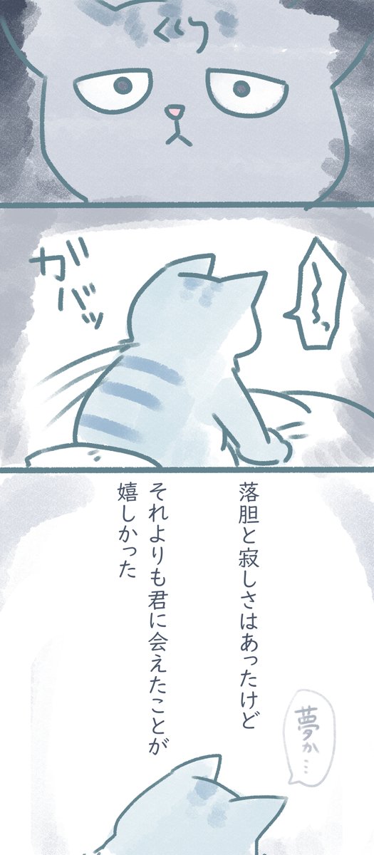 夢の中の君は元気だったころの様にぷくぷく丸くて、虹の橋でたくさんおやつが食べれてることがわかった
それがなによりも嬉しかったです。 