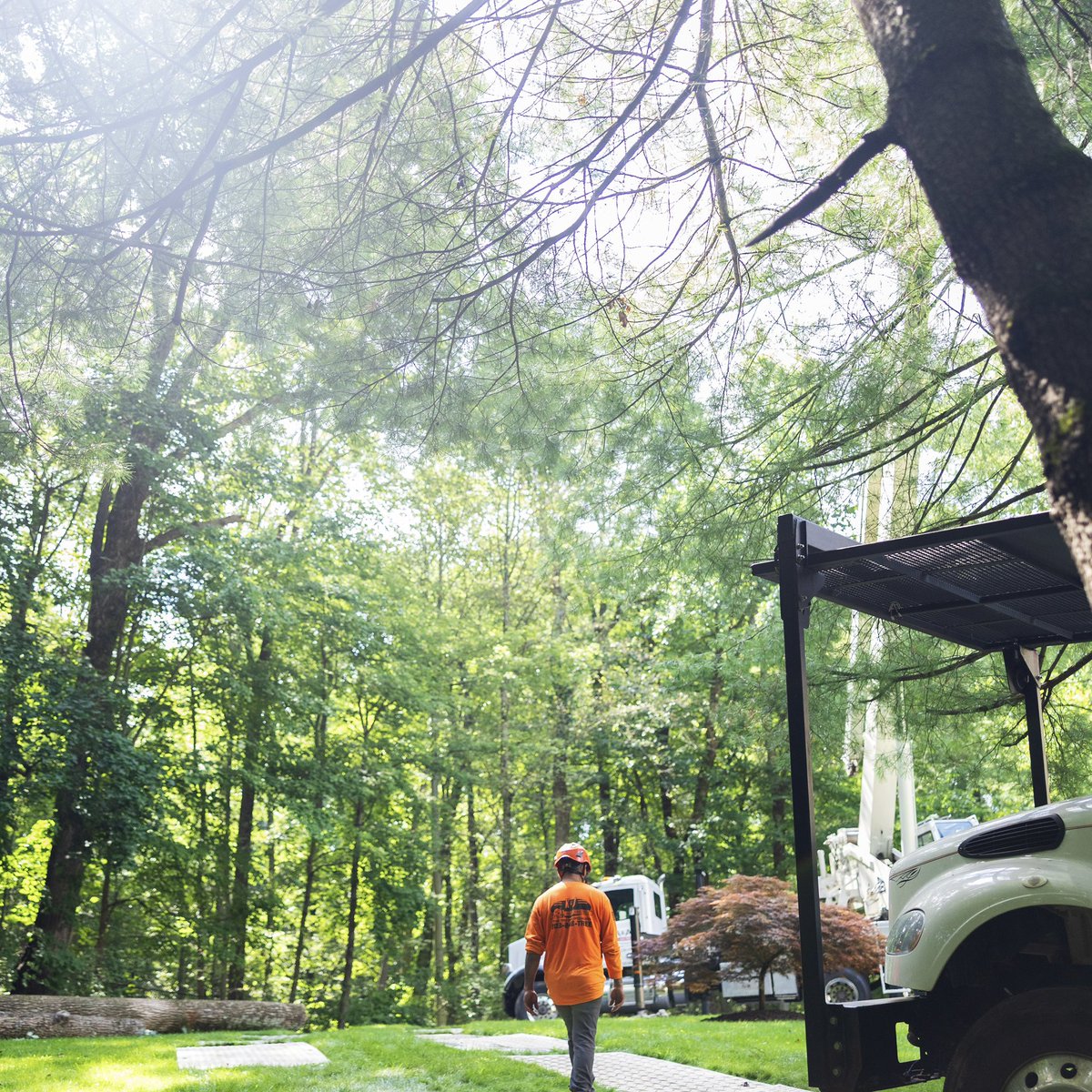 KJTreeService's tweet image. Holding onto that summer energy a little longer!☀️🧡🌳
-
-
#KJTreeService #CTTreeService #treeservice #arborist #treeremoval #treecare #treework #treelife #treeclimber #chainsaw #treetrimming #stumpgrinding #stumpgrinder #CTtrees #ConnecticutTrees #HamdenCT #NewHavenCounty…