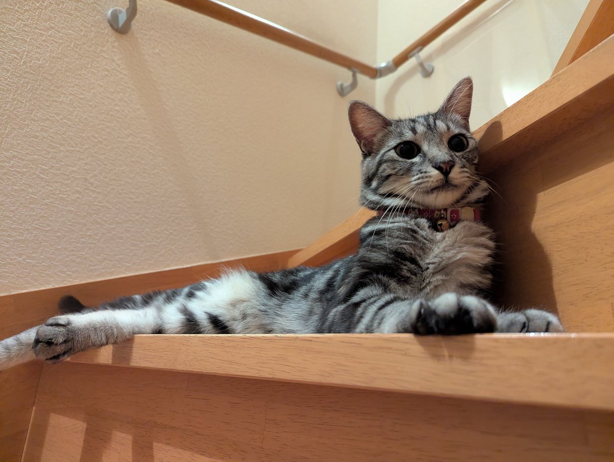 still a black star 3冊セット still black star 長坂真護「STILL 長坂