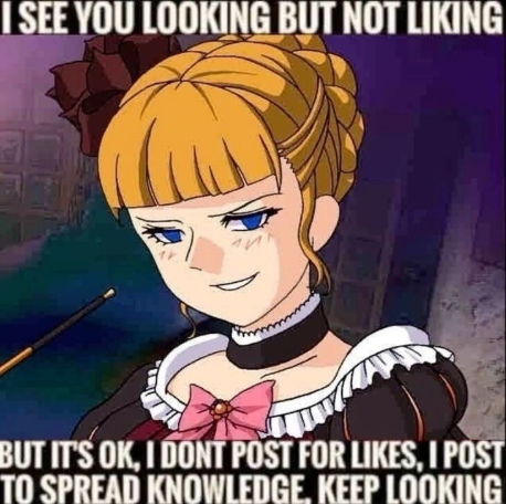 Fun whale facts tweet media