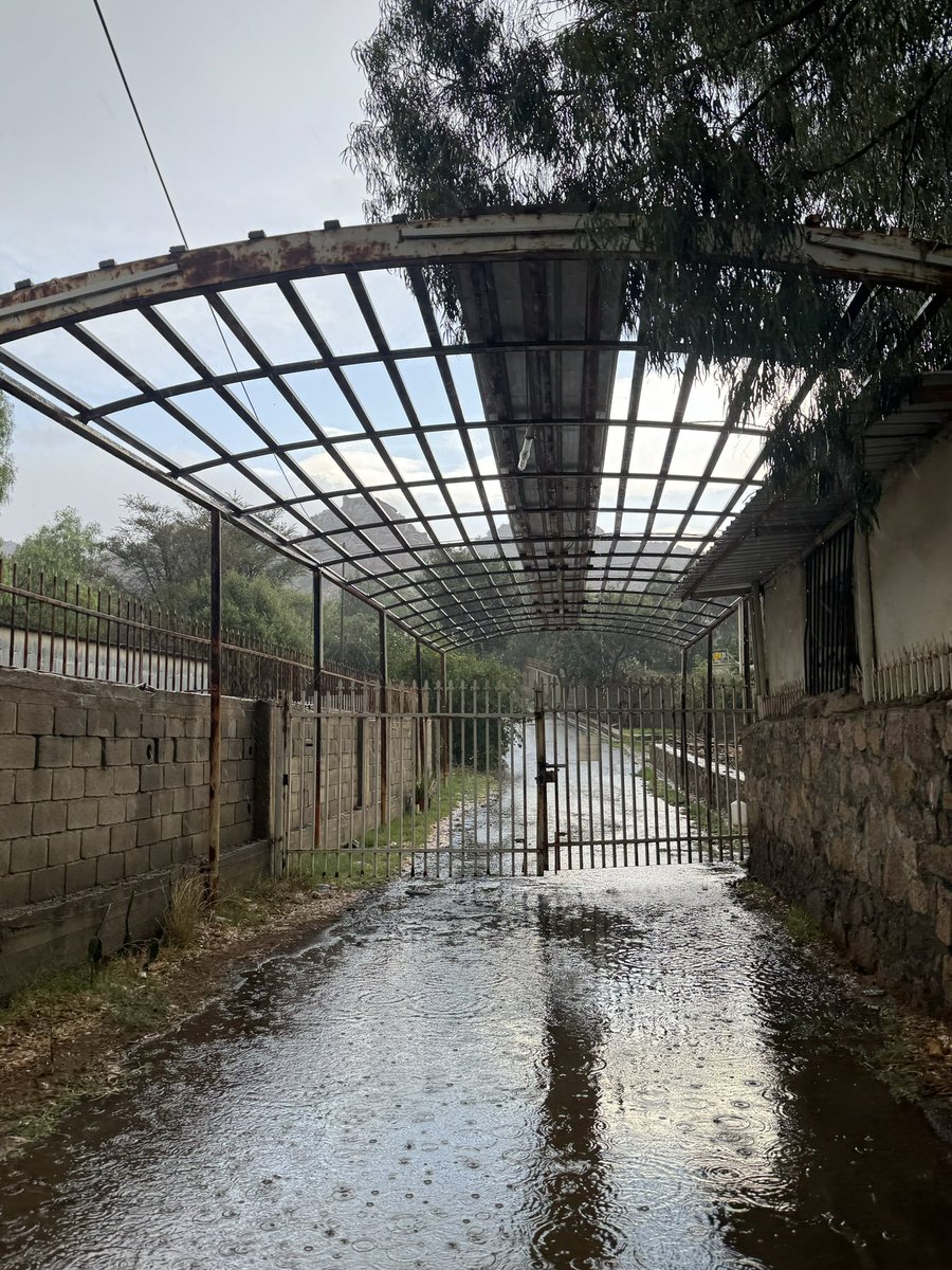 Running on coffee and confidence..
mostly coffee