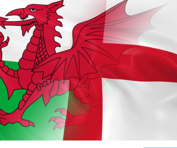 Maisie (@maisie31) on Twitter photo 