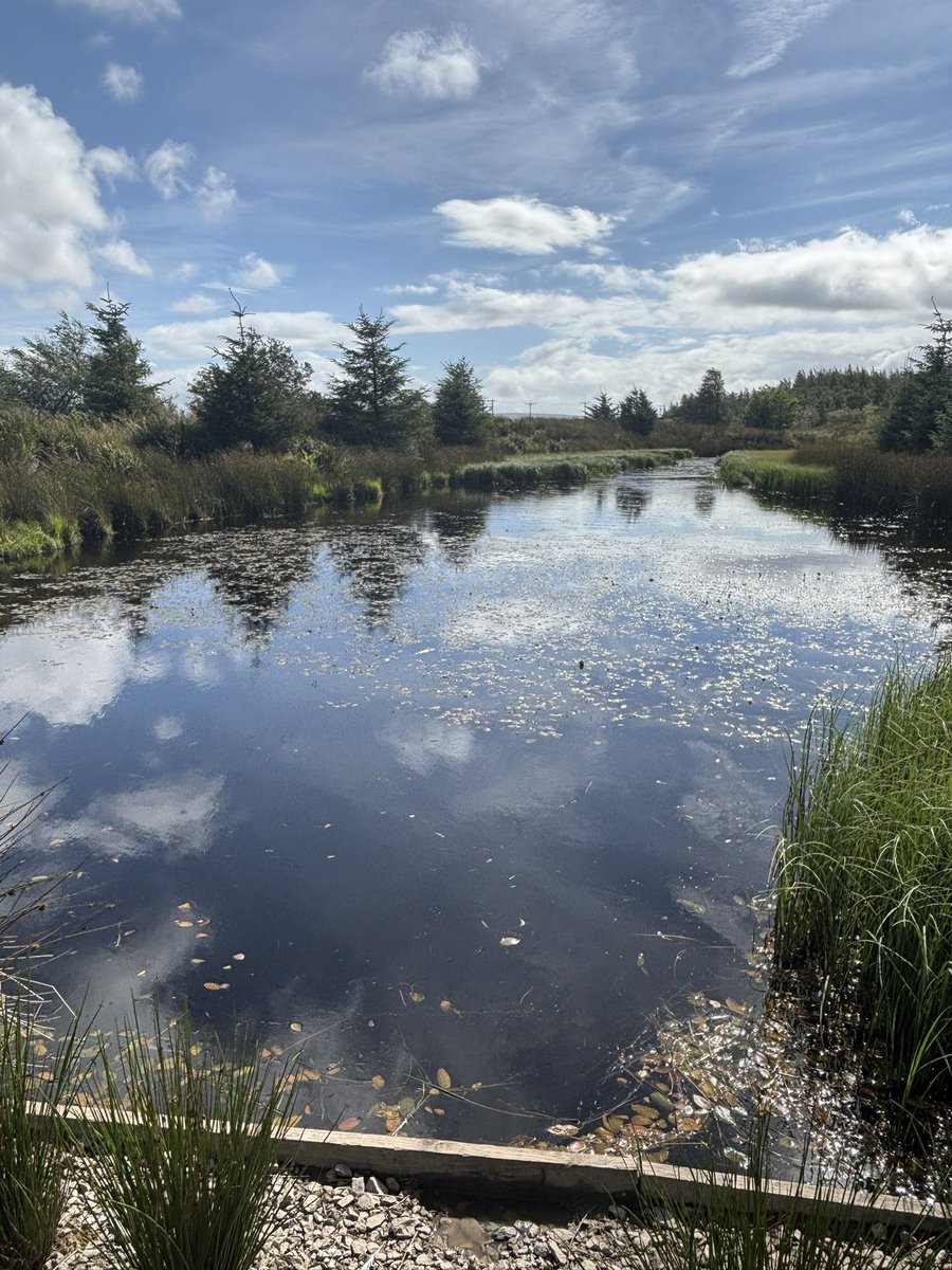 “Autumn” is not far away.  #Killhope #Museum #August2025 #Autumn