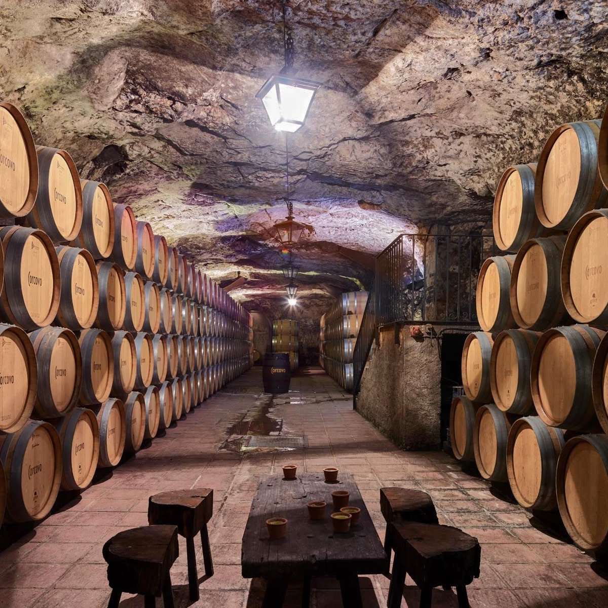 🍇✨ ¡La Vendimia de Valdepeñas 2025 ya llegó! 

Del 1 al 8 de septiembre, más de 120 actividades entre tradición, cultura y música. 
¡Vive la esencia manchega! #Valdepeñas #Vendimia2025 #CastillaLaMancha #EnUnLugarDeTuVida