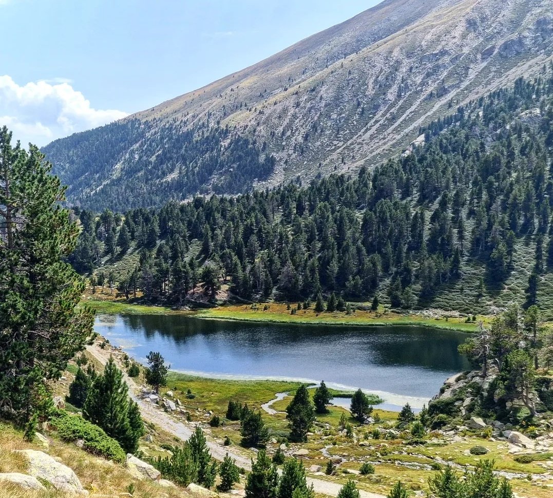 ricardrigall's tweet image. L'estany Petit de la Pera. #estanysdelapera #arànser #lles #cerdanya #bicicleta #btt #mtb #estiu2025