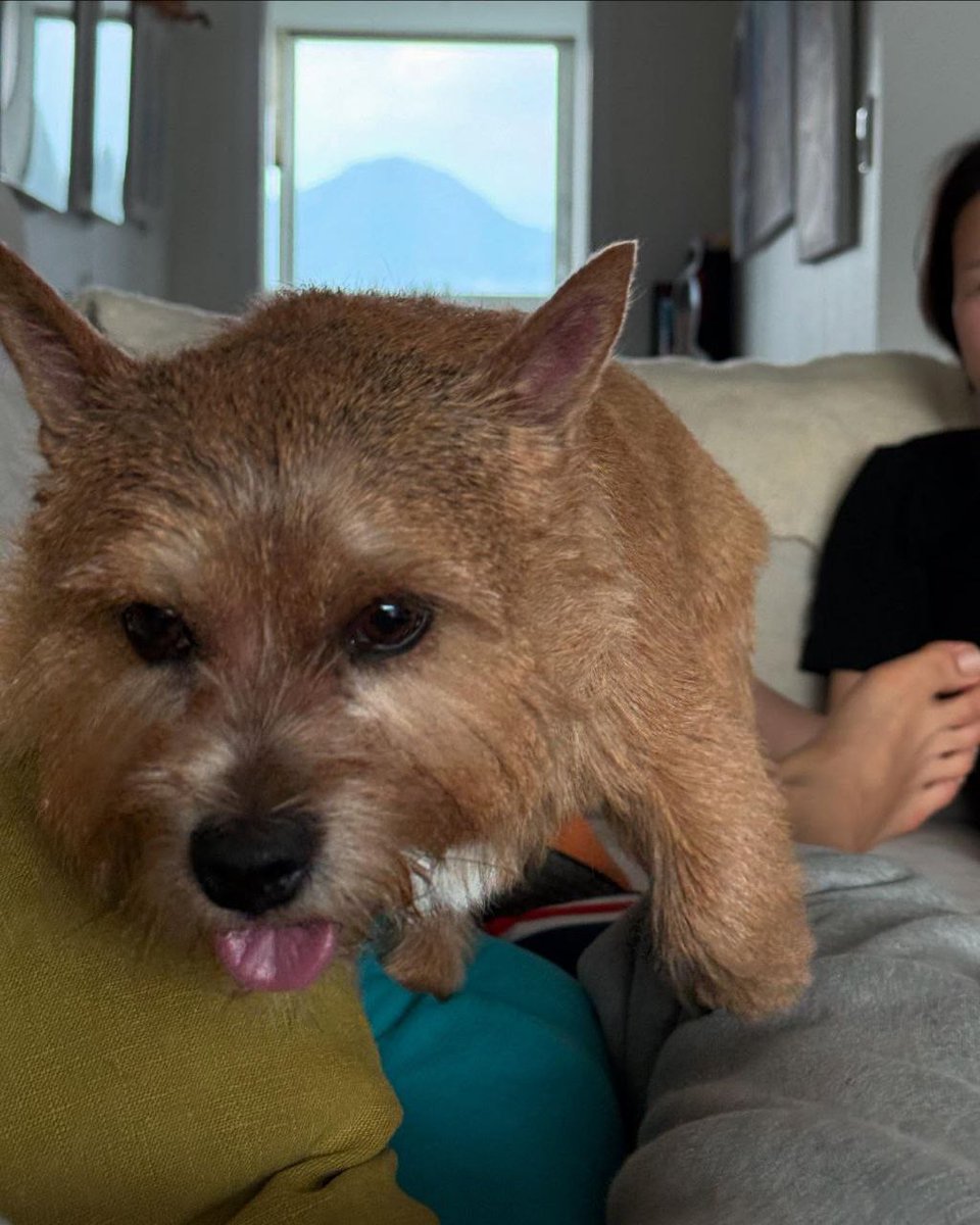 svt_morocco's tweet image. [250825]#kwon.latte_ Instagram post 

Where is Latte heading~

#HOSHI #호시 #MoroccanCaratsSVT🇲🇦💎