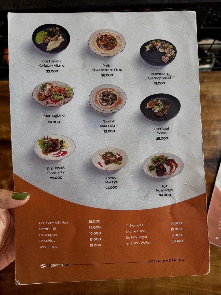 the food                                    the menu