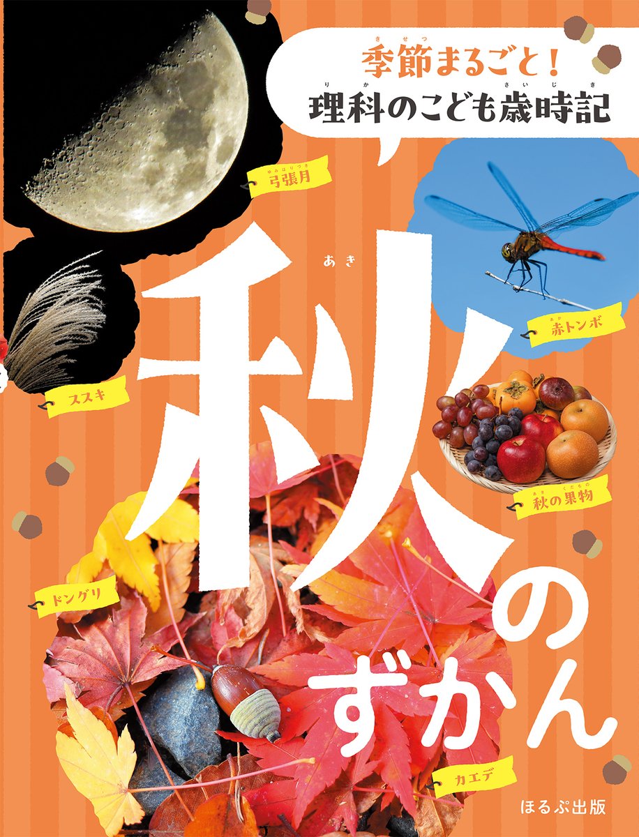 カラー版こどもの季節 ほるぷ出版 全12巻 図鑑 知育 カラー版