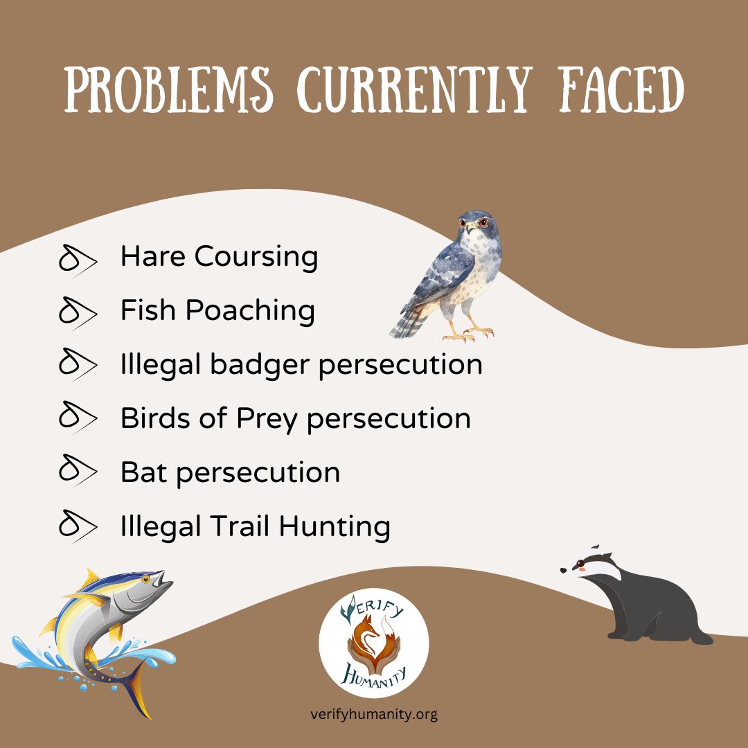 VeriHumanity's tweet photo. Rural Crime In The Crosshairs
This #WednesdayWins, we are celebrating the National Rural Crime Unit and National Wildlife Crime Unit receiving £800,000 to combat wildlife crime! We are surrounded by bad news, so let's celebrate the animal victories, however big or small. https://t.co/2h3ZsjV9Pn
