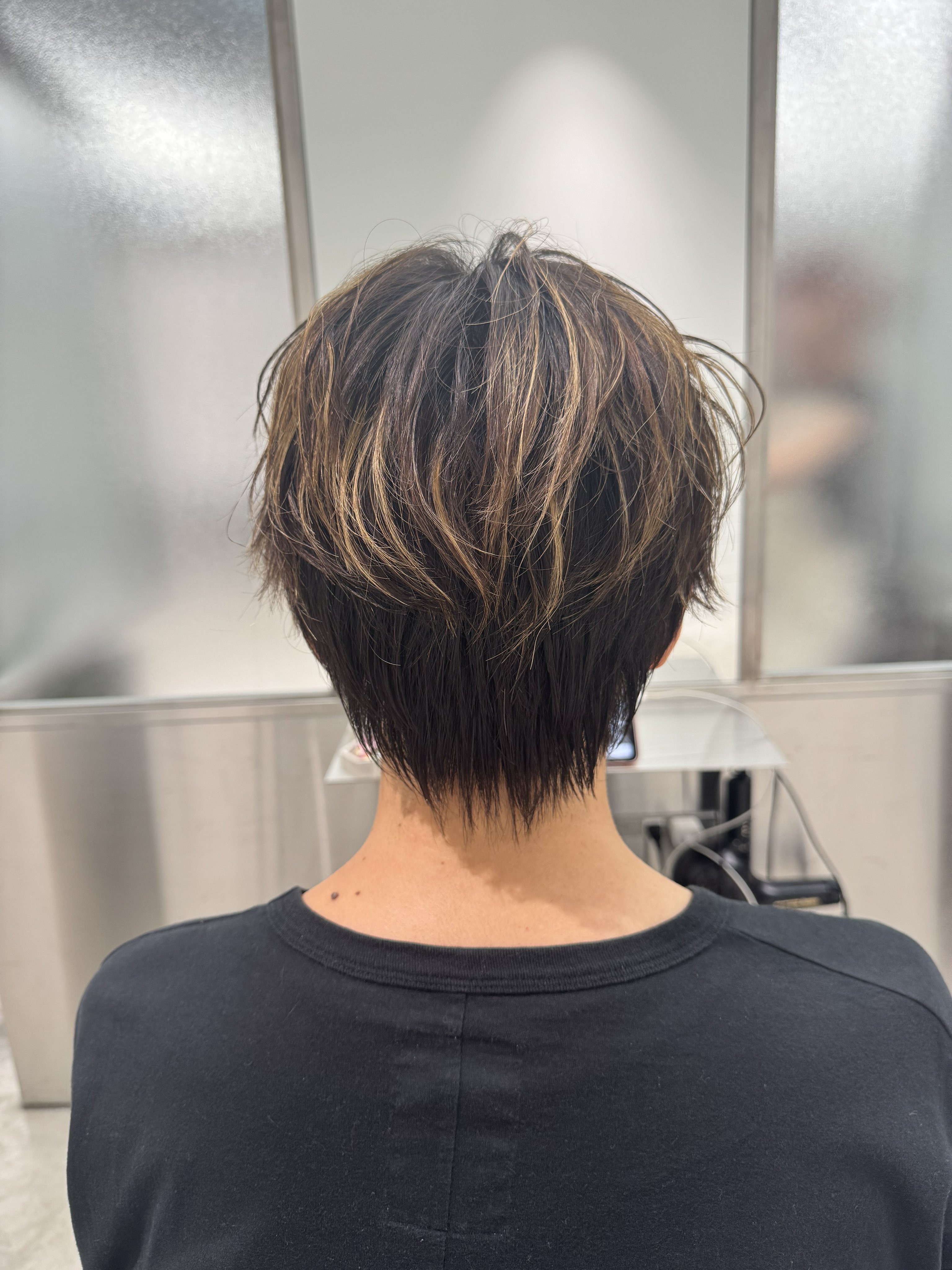 りほページ ベスポジBPZ - プッシュ手すり | 製品紹介 | DIPPERホクメイ株式会社