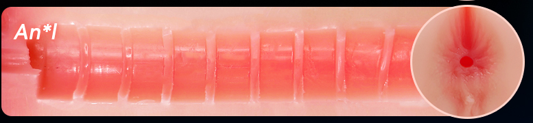 🍑 アナル型内胆
業界初の円形構造。
究極の締め付け感＋波状刺激で未知のゾーンへ。
ただのカップじゃない、新時代のオナ体験。